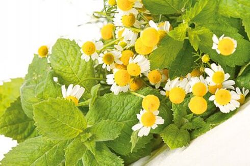 Chamomile increases potency