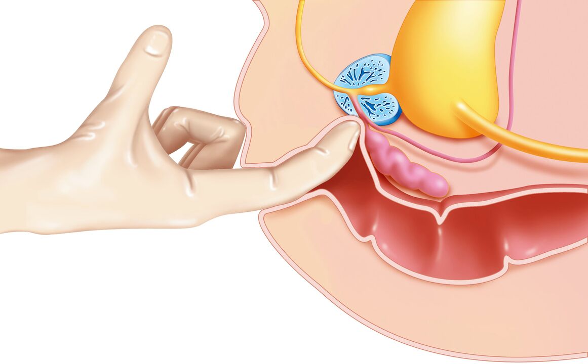 Male G-spot stimulation