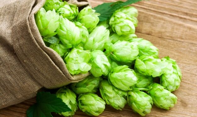 Hop cones help with rapid ejaculation