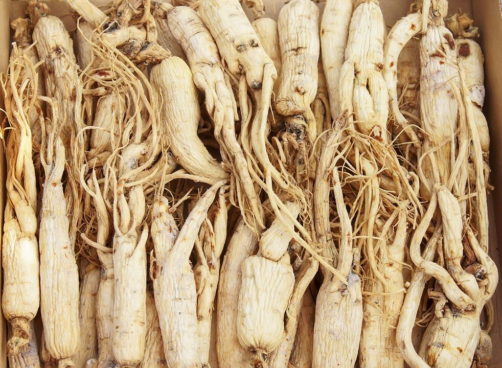 On the basis of ginseng root, a decoction with enhanced medicinal effect can be prepared